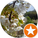 Susana Garrido profile picture