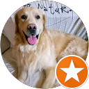 Piluca profile picture